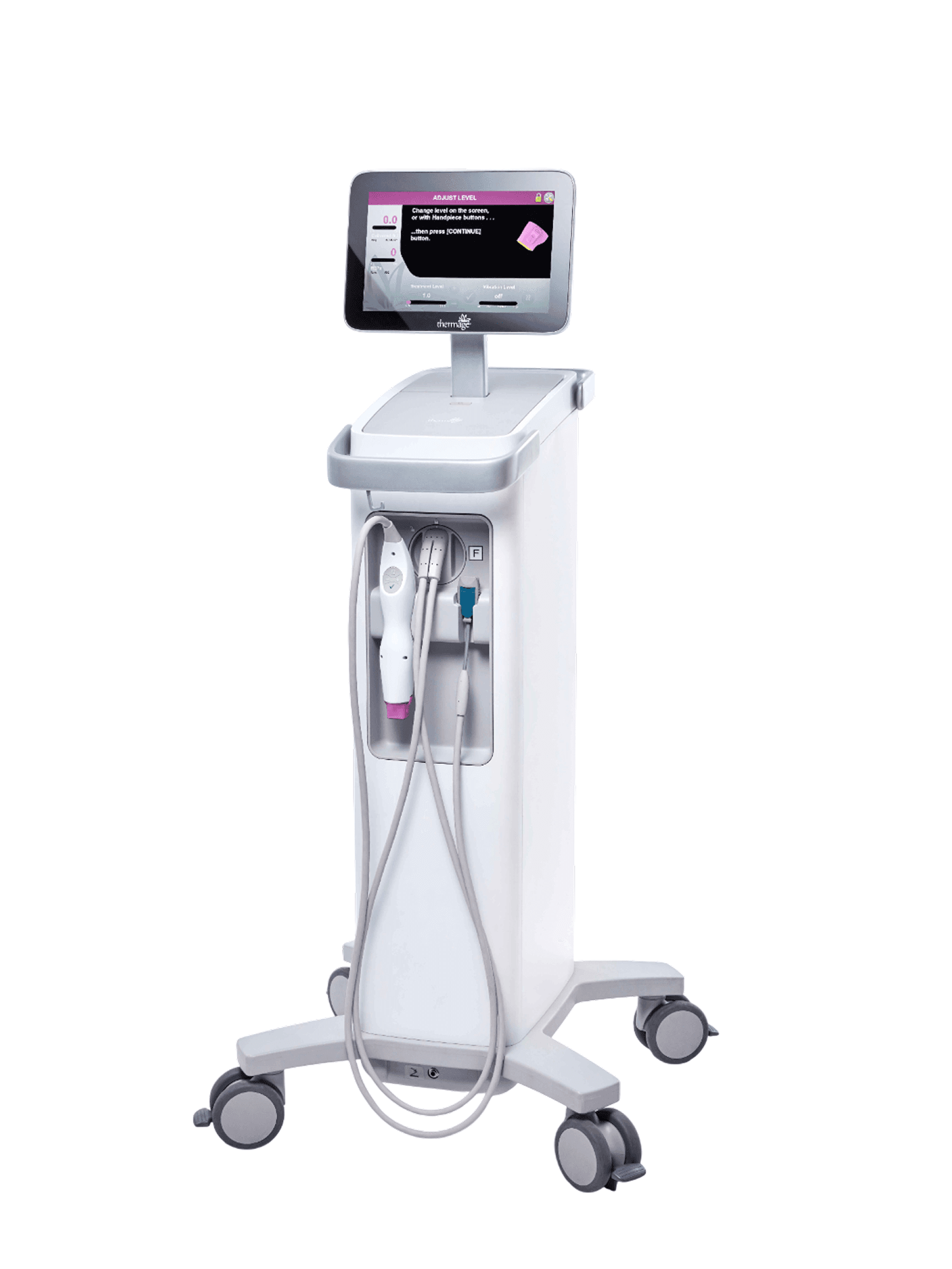 Thermage FLX